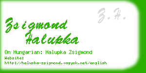 zsigmond halupka business card